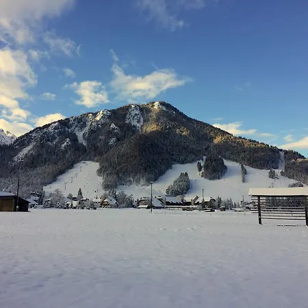 Pensjonat Apartmaji In Sobe Tina 3*