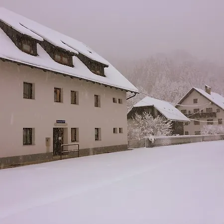 Pensjonat Apartmaji In Sobe Tina Kranjska Gora