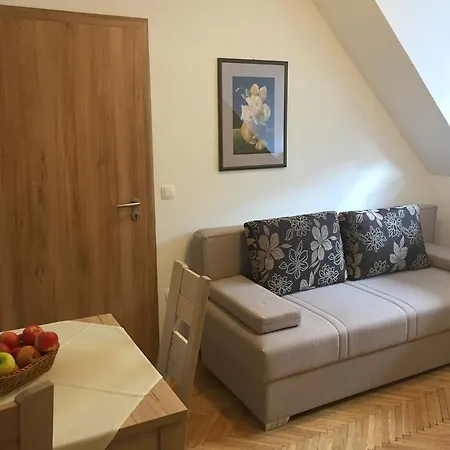 Apartmaji In Sobe Tina Kranjska Gora