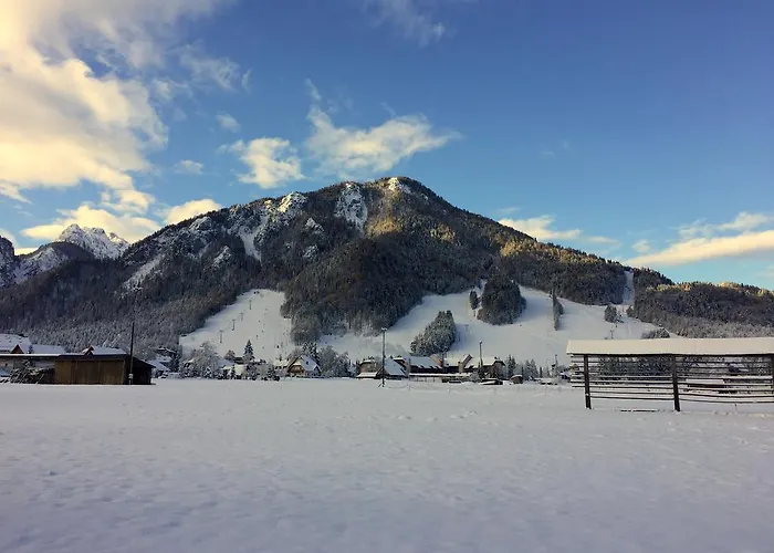 Pensjonat Apartmaji In Sobe Tina 3*