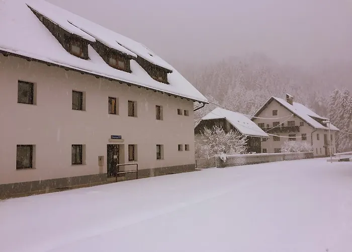 Affittacamere Apartmaji In Sobe Tina Kranjska Gora