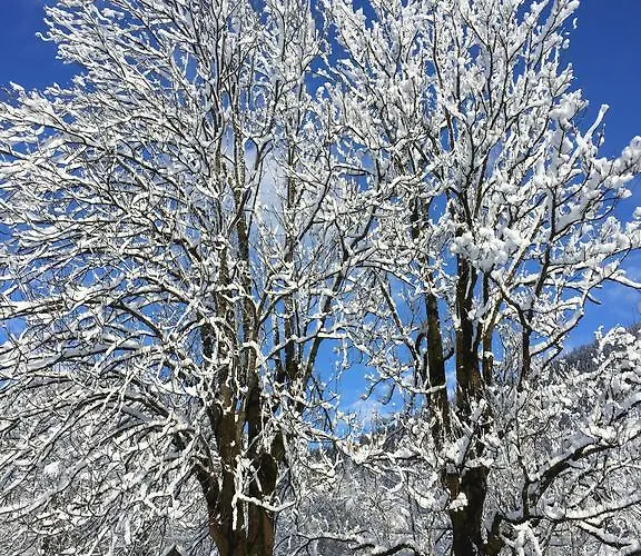 Pensjonat Apartmaji In Sobe Tina