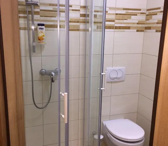 Affittacamere Apartmaji In Sobe Tina Kranjska Gora