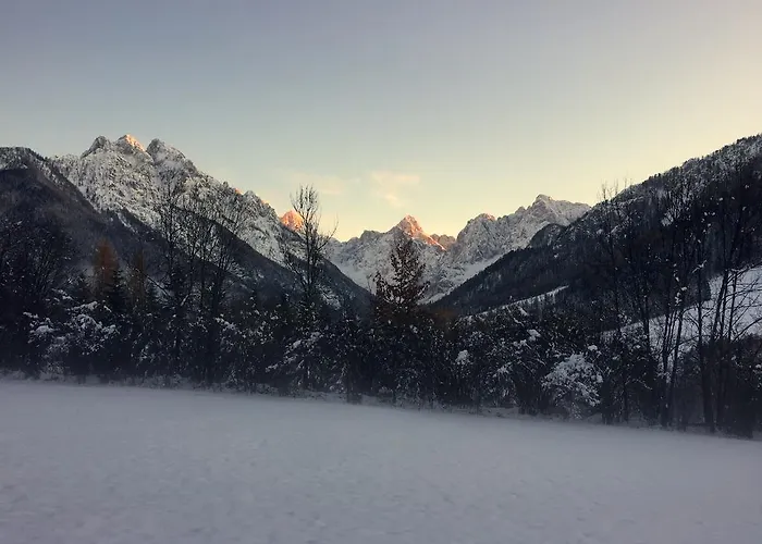 Apartmaji In Sobe Tina Pensjonat 3*